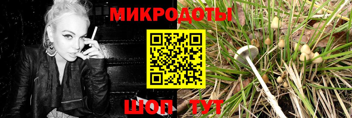 Псилоцибиновые грибы прущие грибы  Галлюциногенные грибы Psilocybine cubensis  Избербаш  Вход с VPN 